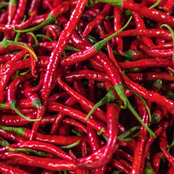 80g Chilli Pepper (“Akwele Waabi”)