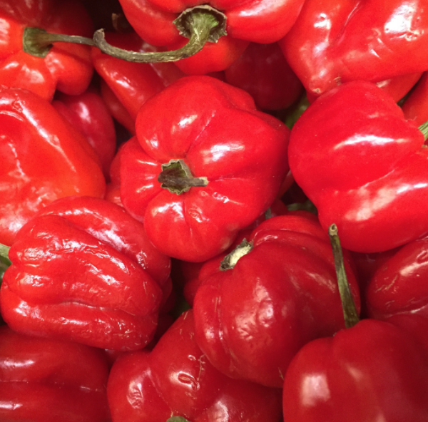 ABOUT 20g RED HOT PEPPER