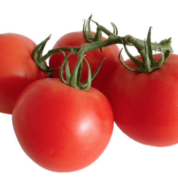 30g TOMATO