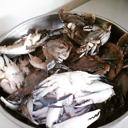 I KILO SMALL SIZE SEA CRABS