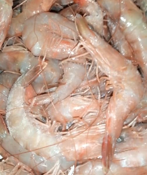 I KILO UNPEELED MEDIUM PRAWNS