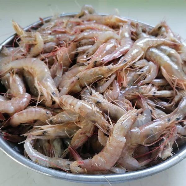 I KILO UNPEELED SHRIMPS