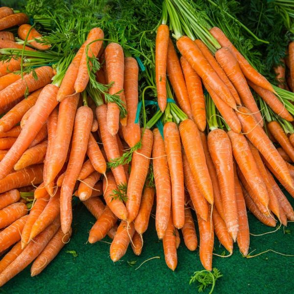 3 TO 4 PCS REGULAR SIZE CARROTS