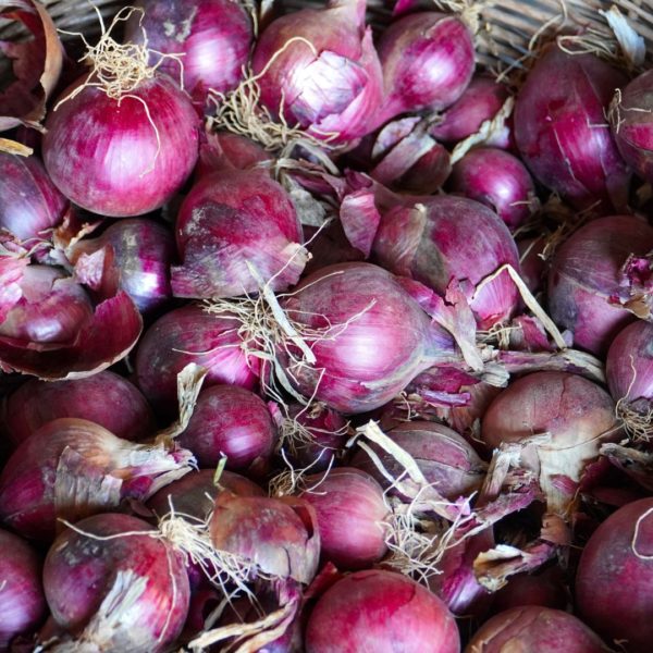 2 TO 4 PCS SMALL SIZE ONION