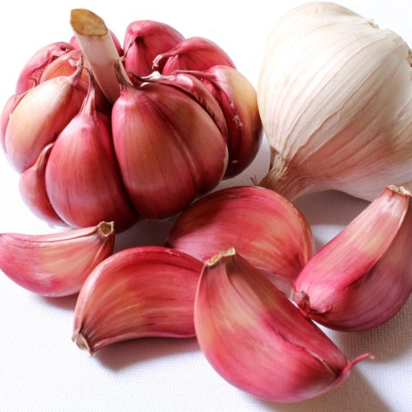 1 PACK CHESNOK RED GARLIC