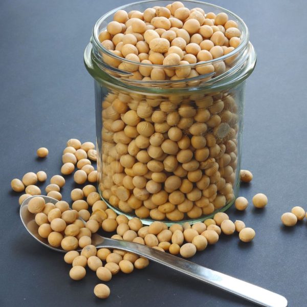 1 MARGARINE TIN SOY BEANS