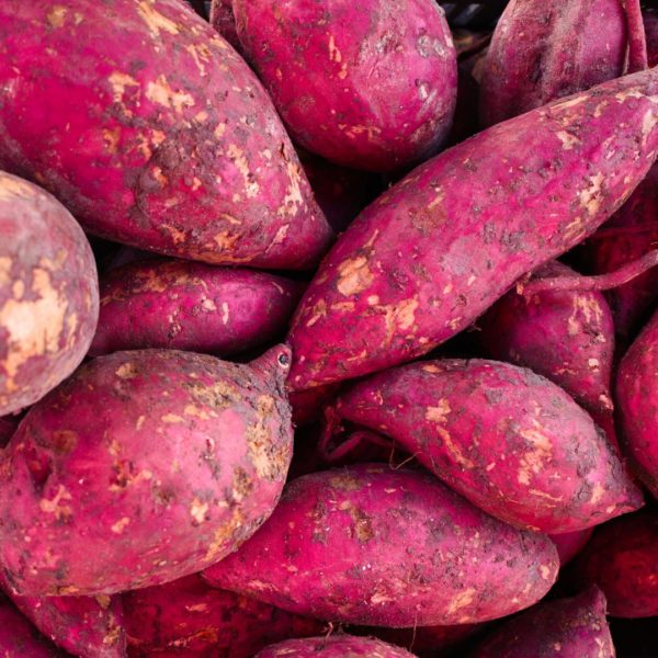 3 TO 5 PIECES REGULAR SIZE SWEET RED POTATO