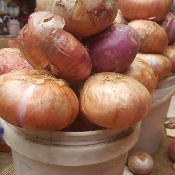 SMALL PAINT BUCKET ONIONS