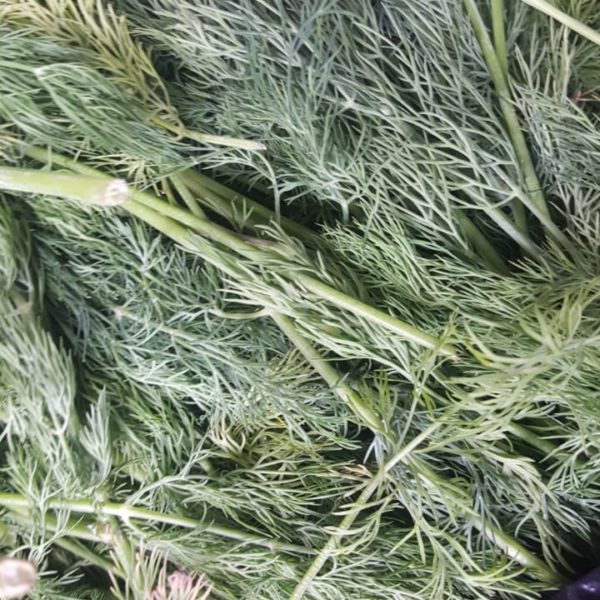 0.89KG DILL