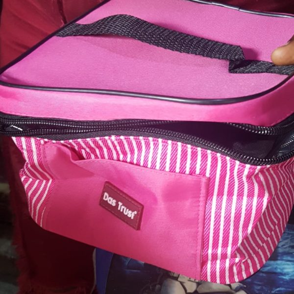 DAS TRUST PINK LUNCH BAG