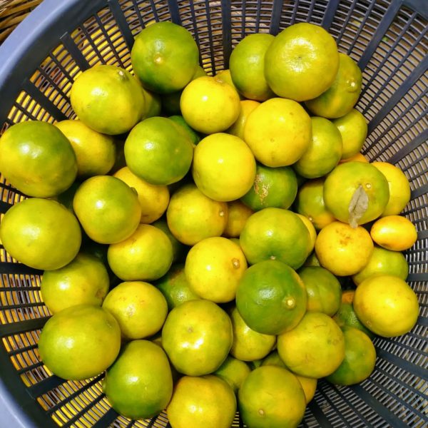 QUARTER BASKET TANGERINE (25pcs)