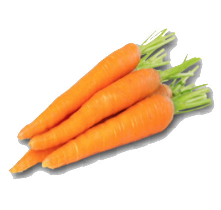 3 TO 5 PCS CARROTS