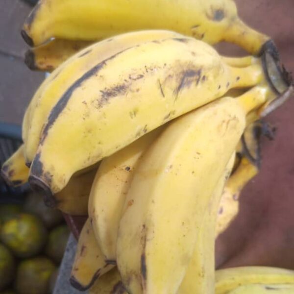 5 to 9 pcs ripped banana