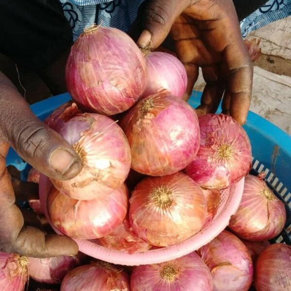 6 to 10 pcs onions