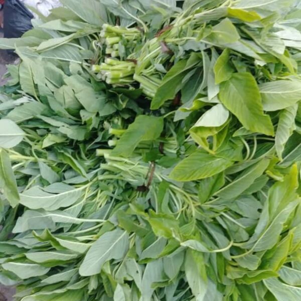 1 bundle aleefi leaves