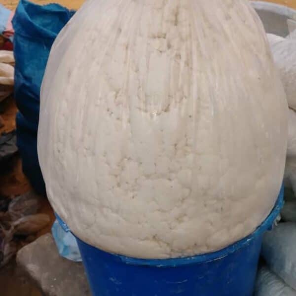 1 paint bucket sized cassava dough