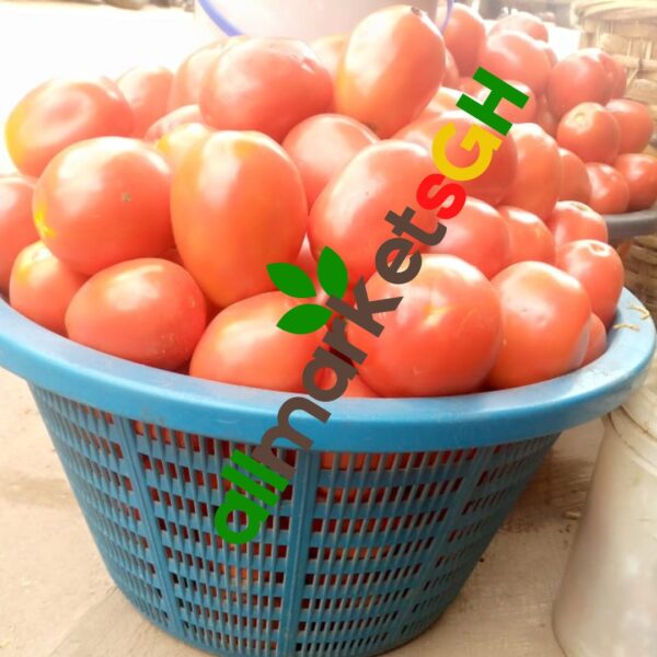 Full Basket of Tomato