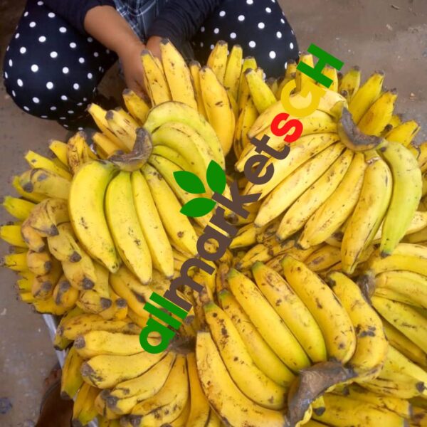 5 to 7 Pcs Foreign Banana