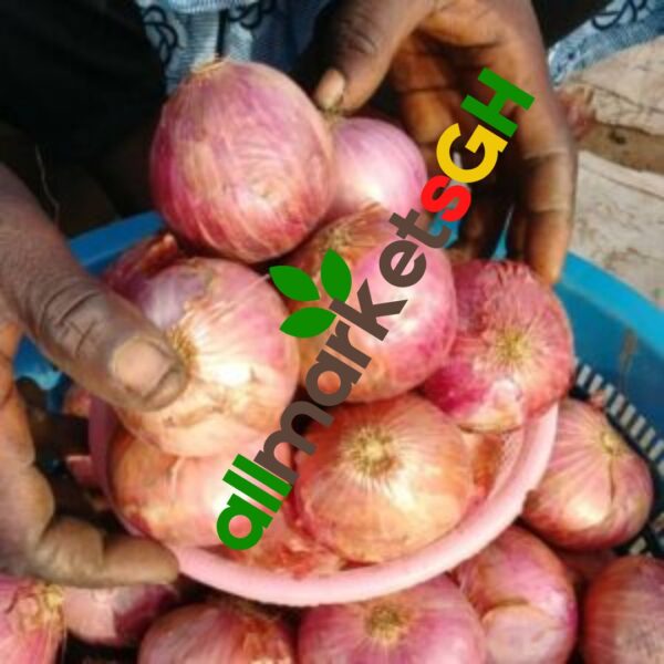 6 to 10 Pcs Onions