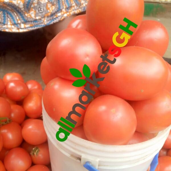 1 Small Paint Bucket Grape Tomato (Navrongo)