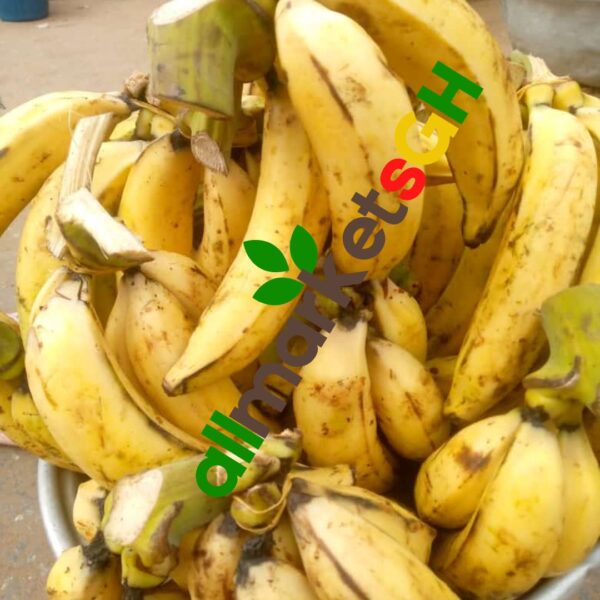 3 to 4 Pcs Ripped Plantain