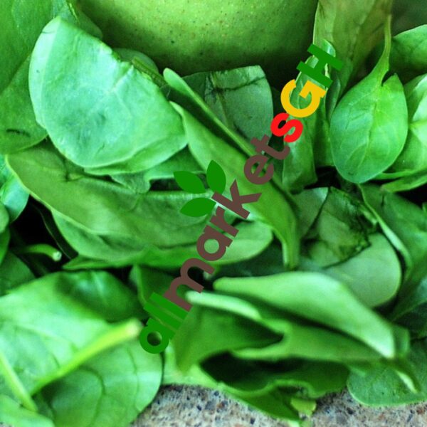 About 10g Fresh Spinach