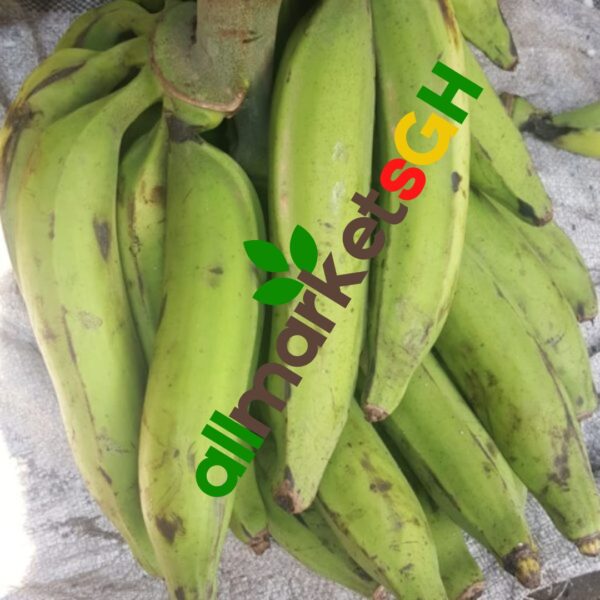 3 TO 5 Pieces Unripped Plantain