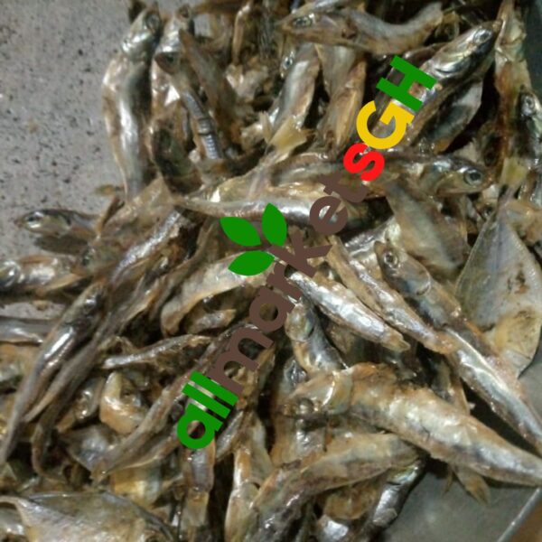 1 Olonka Anchovy Fish (Keta School Boys)